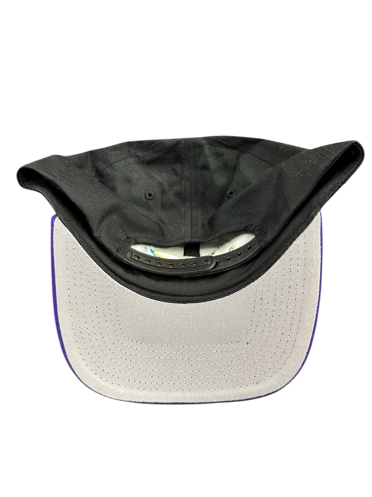 Vintage Tampa Bay Devil Rays Purple Brim Logo Hat Snapback