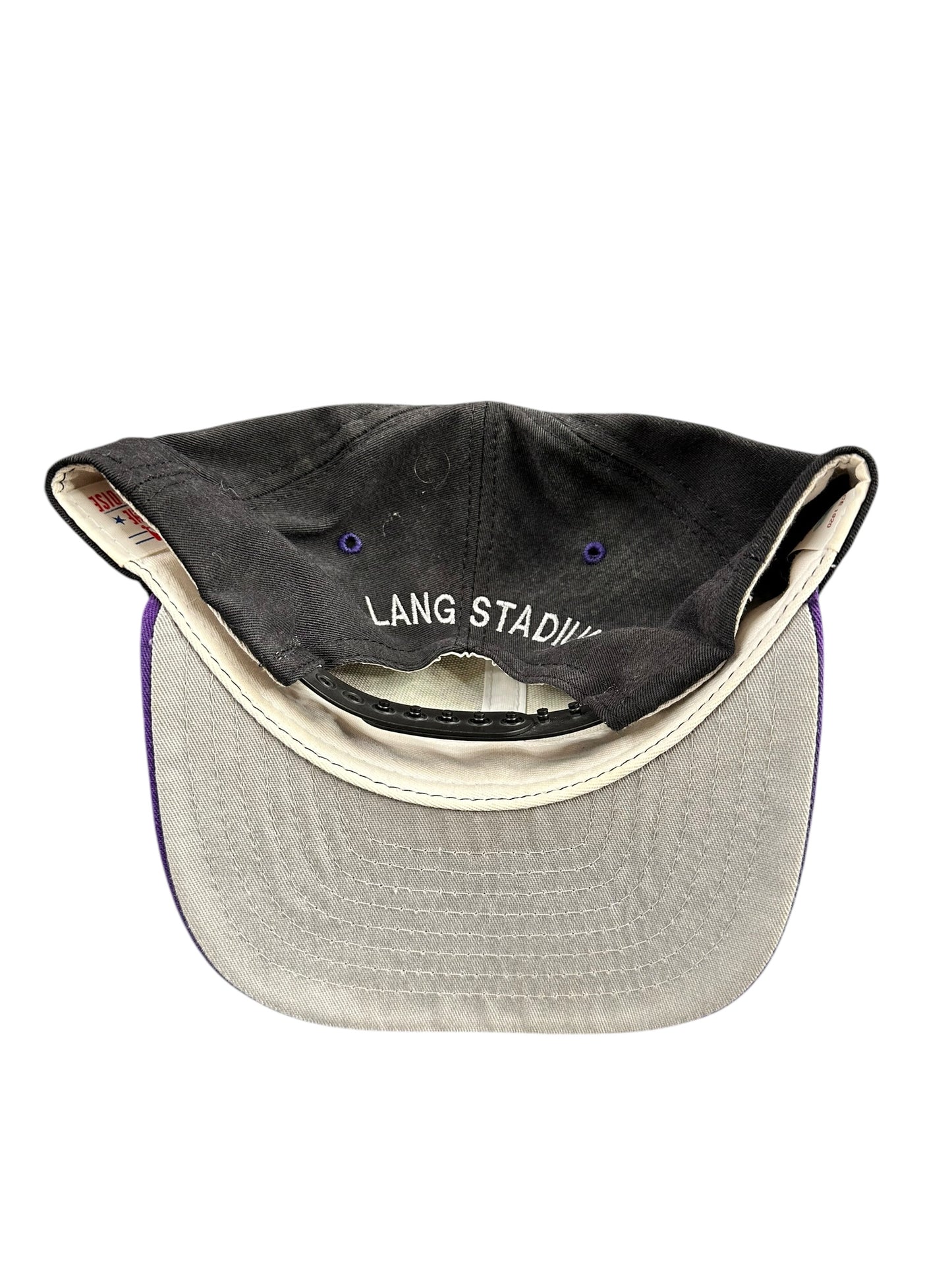 Vintage Tampa Bay Rays Spring Training AL Lang Stadium Hat SnapBack