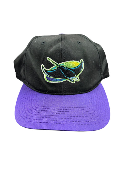 Vintage Tampa Bay Devil Rays Purple Brim Logo Hat Snapback
