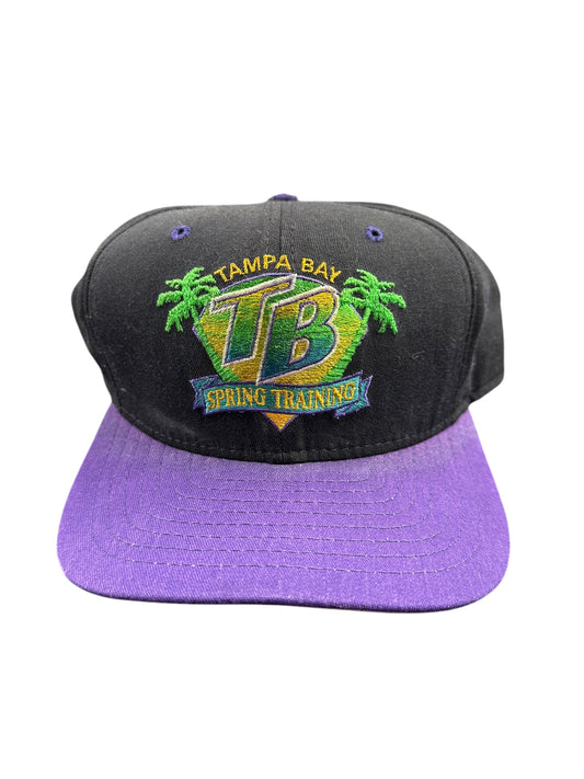 Vintage Tampa Bay Rays Spring Training AL Lang Stadium Hat SnapBack