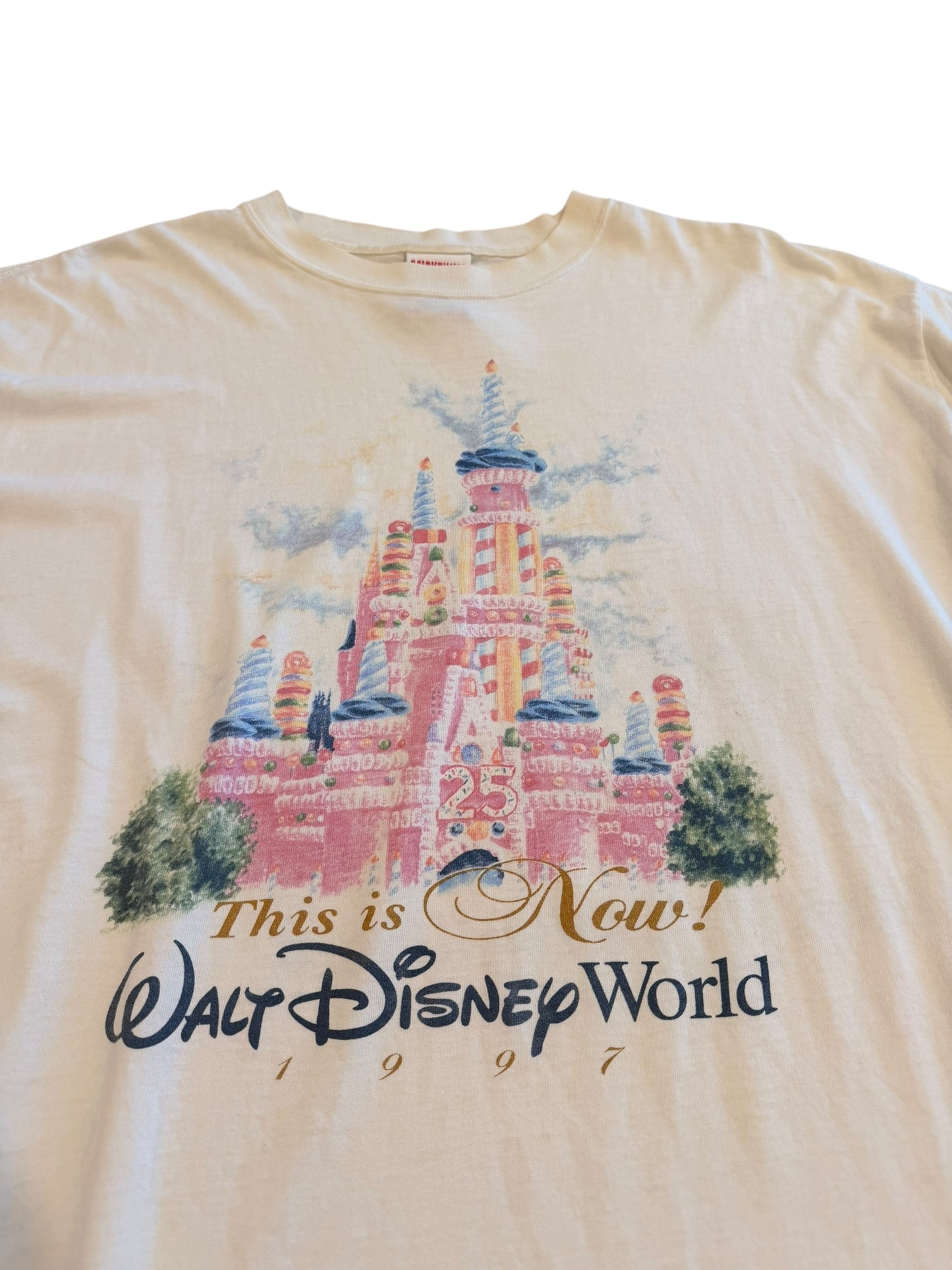 Vintage 90’s Walt Disney World “This is Now” Graphic Tee size XXL