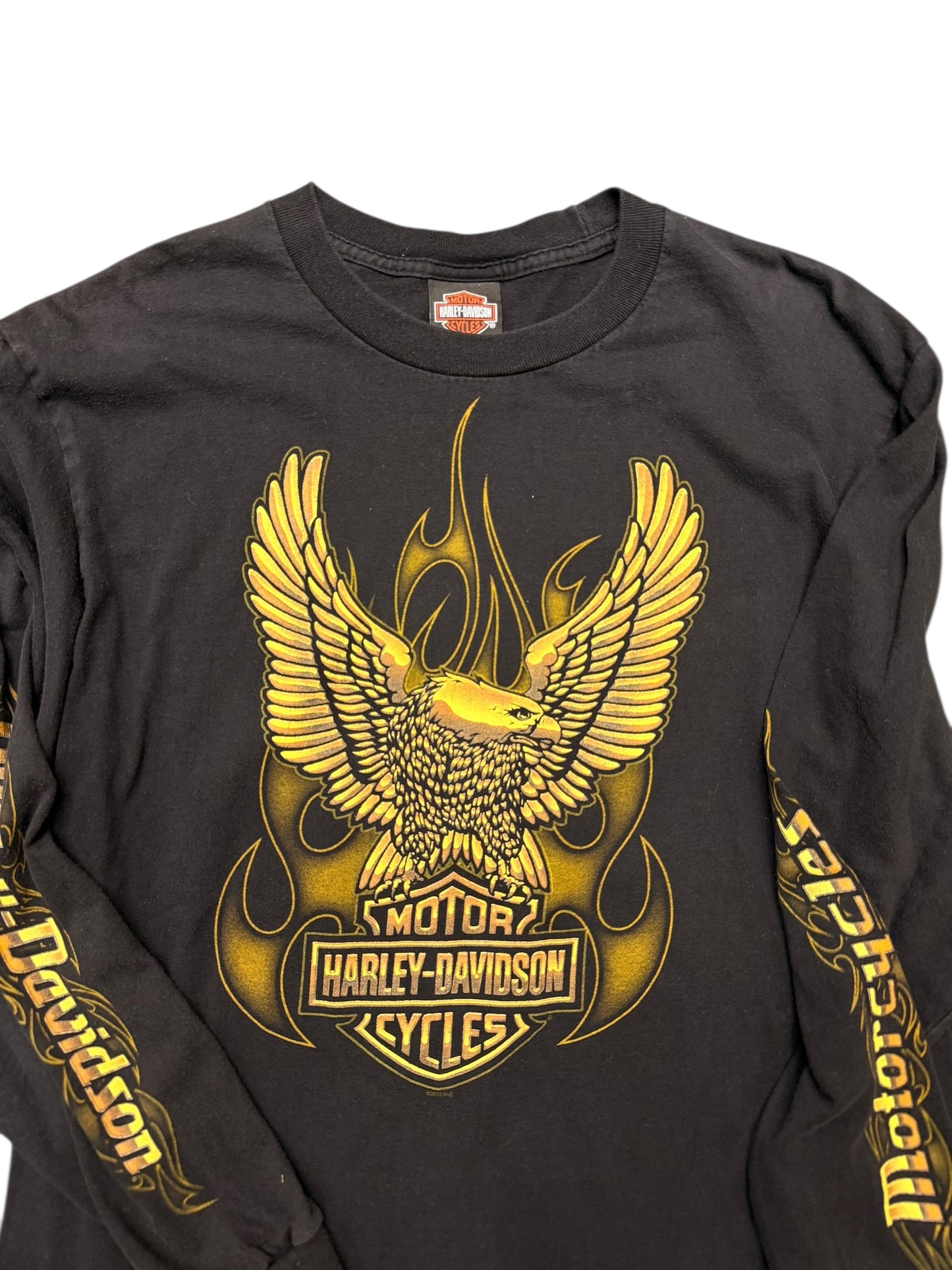 Y2K Harley Davidson Golden Eagle Iowa Long sleeve Size Large