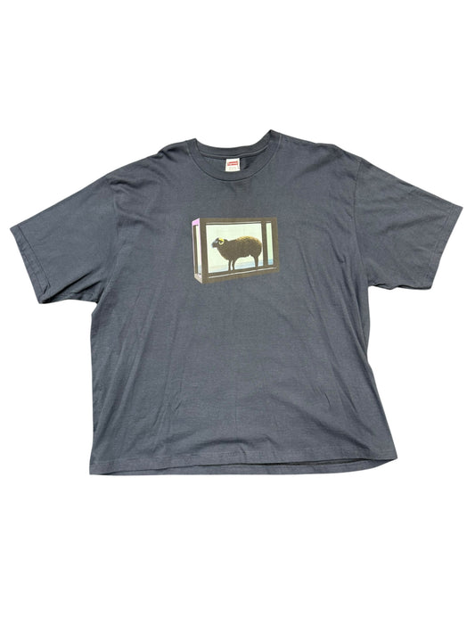 Supreme SS25 Damien Hirst Tee Size XXL